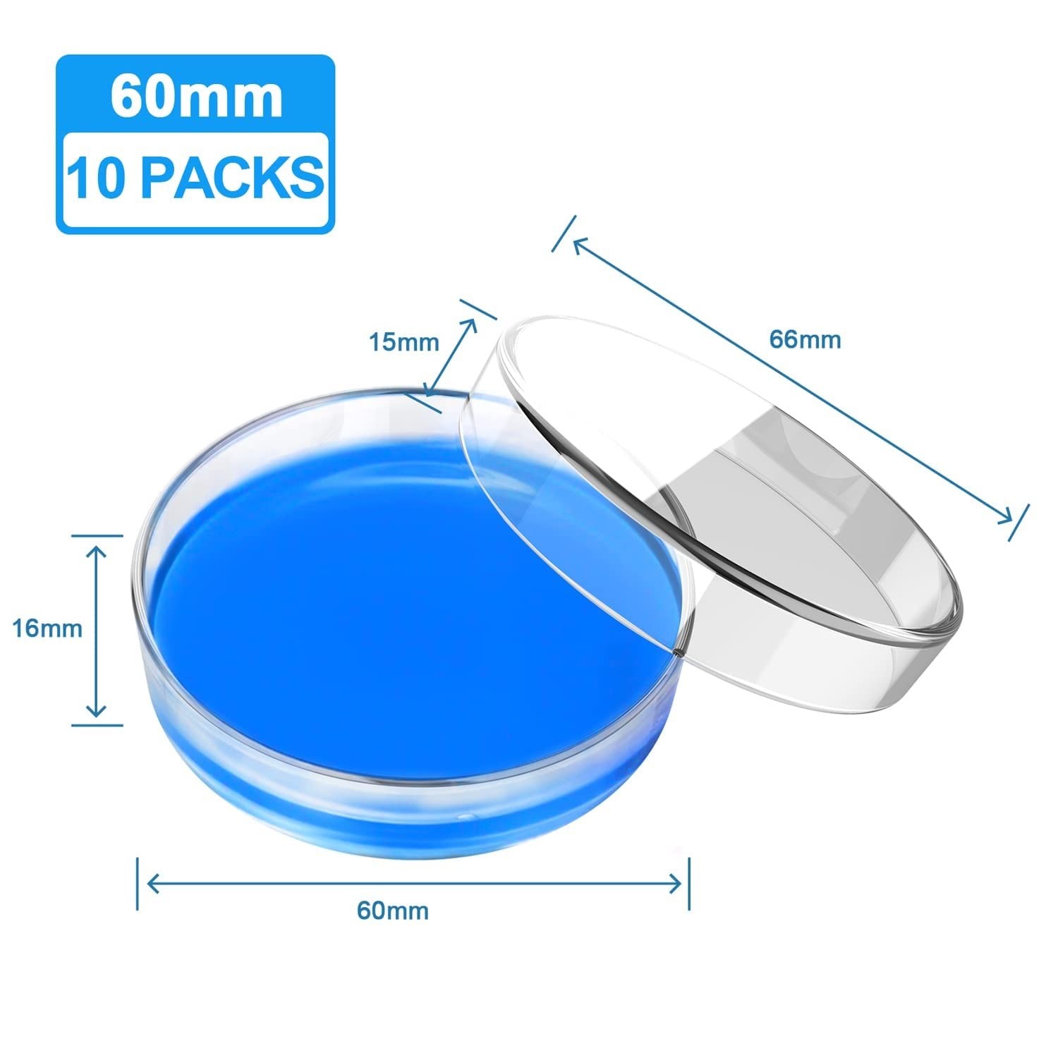 60mm Glass Petri Dish Lab Petri Plates Dishes Reusable w/ Lids Autoclavable US