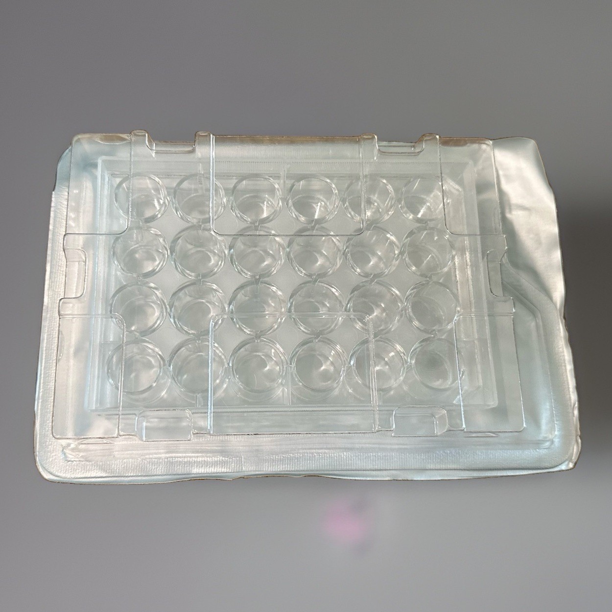 Corning BioCoat Collagen IV Cellware 24-Well Clear Bottom Plate w/ Lid, 5/Case