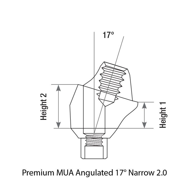10x Dental DSI Narrow Angulated Abutment 17° Multi-Unit Premium 1.6m Int Hex 2.0