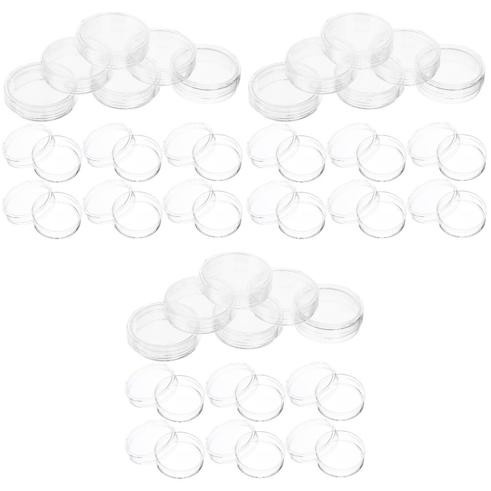 Set of 3 Greenhouse Petri Dish Avocado Growing Dishes Plate Science