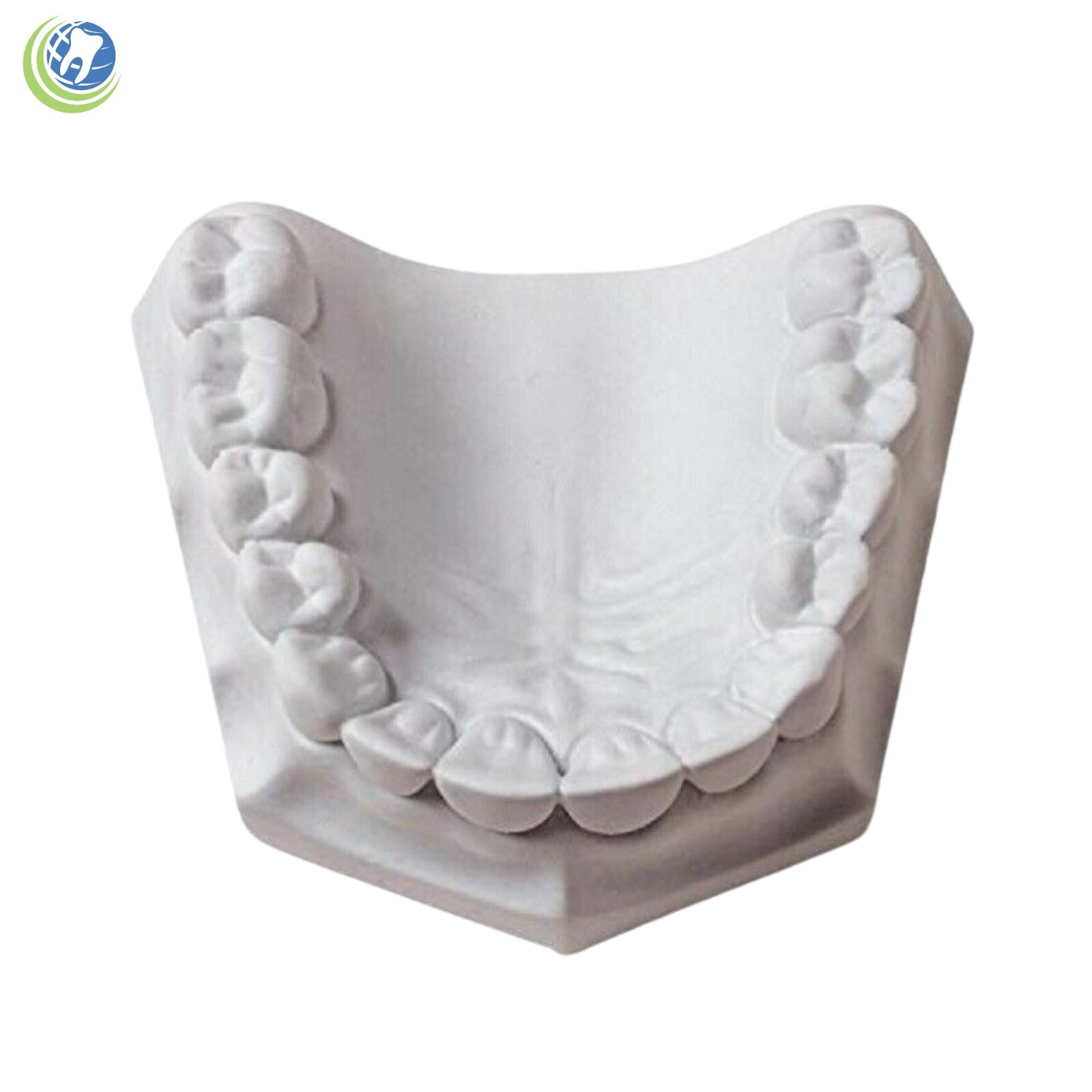 DENTAL LAB PLASTER CREAMY WHITE TYPE II REGULAR SET 1 Lb. (454 G)
