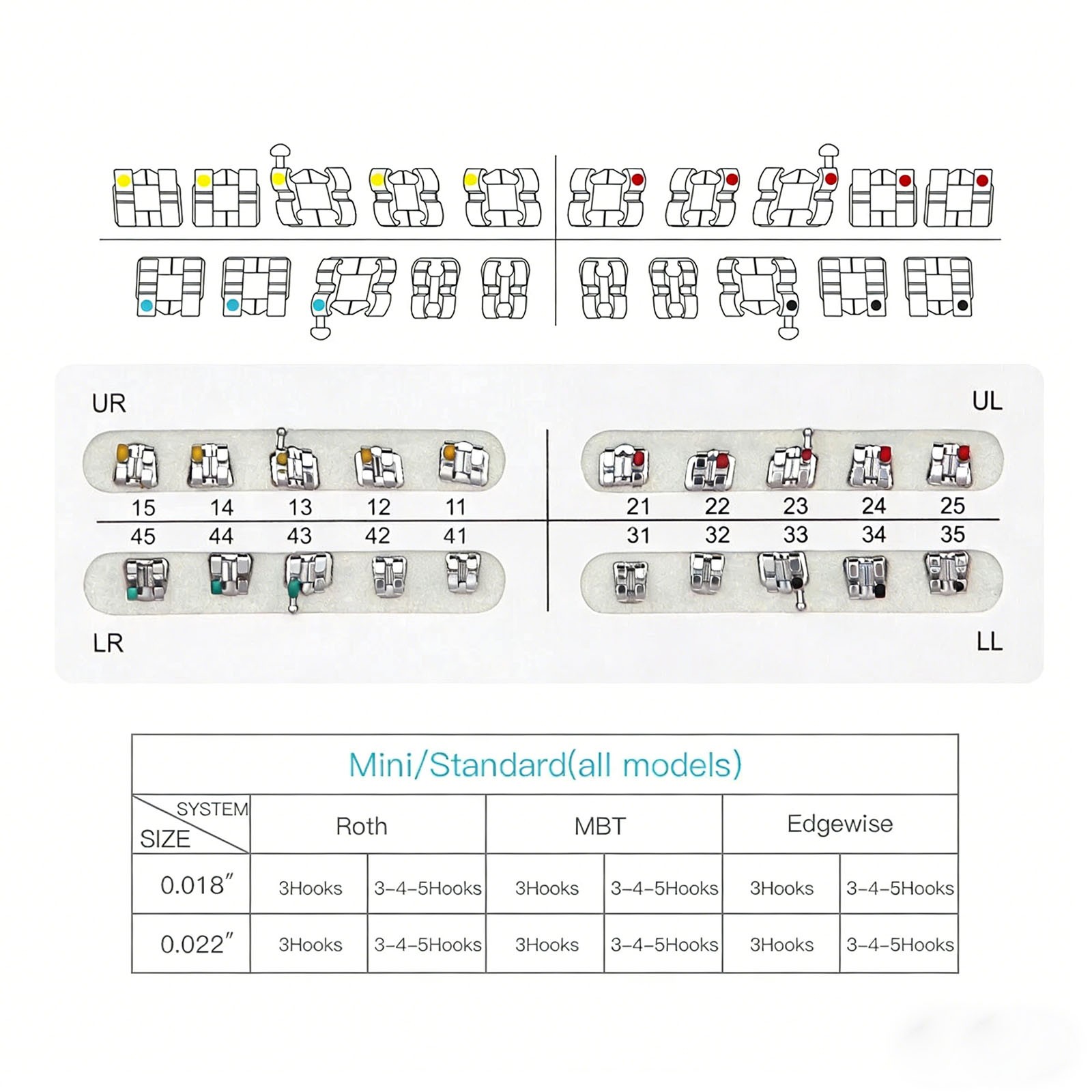 MacDent Dental Orthodontic Brackets Brace Mini Roth MBT Standard 022/018 Hooks