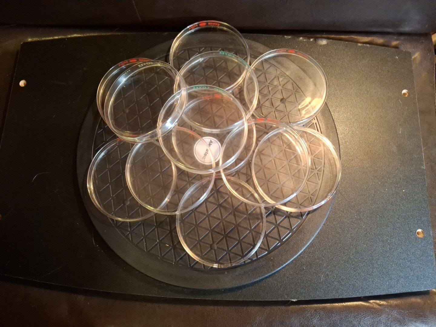 Kimax / Pyrex Petri Dishes 100mm x 15mm Set – 12 Covers and 12 Bottoms