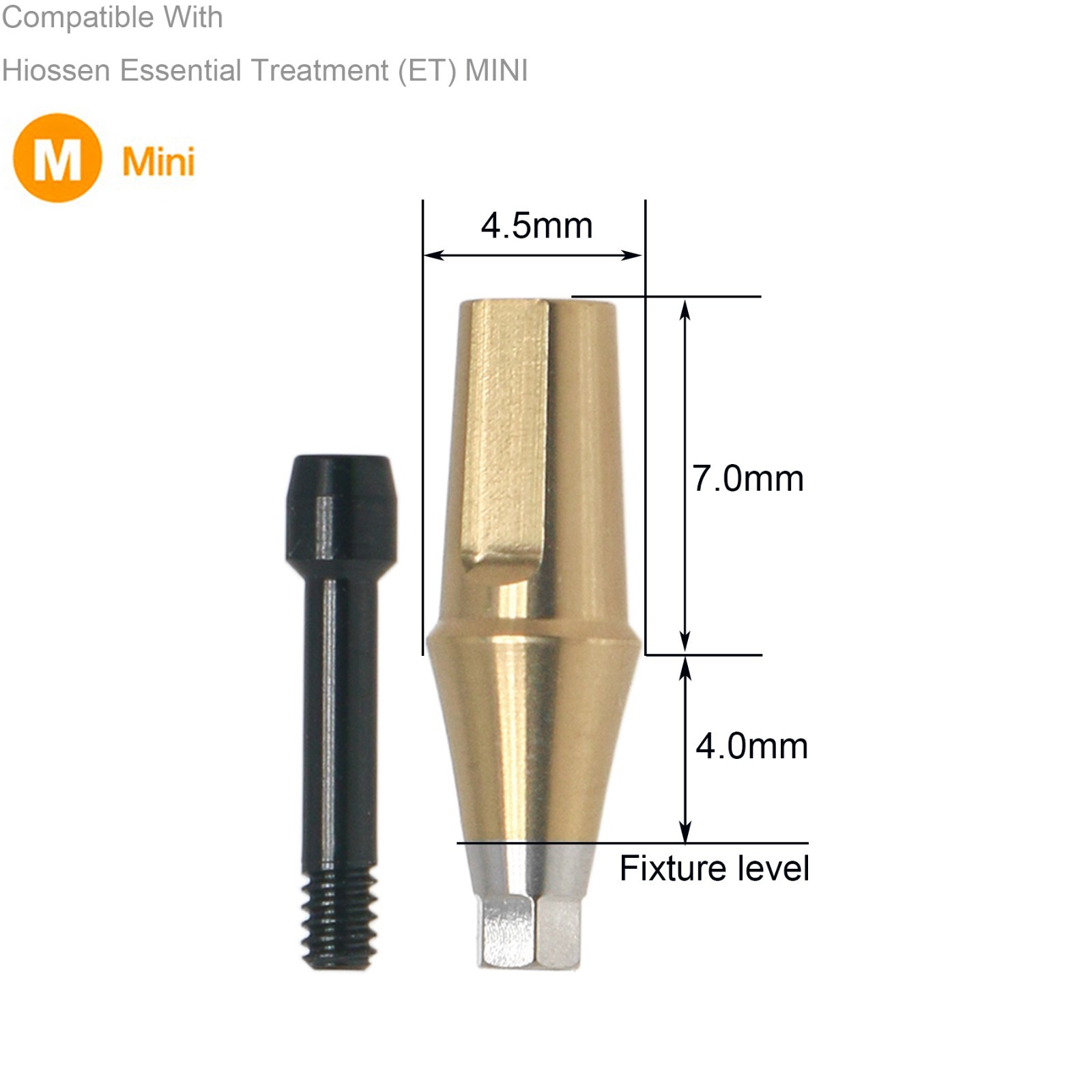 Dental Hex Straight Abutment with Screw Mini Regular Fit for Osstem Hiossen TS