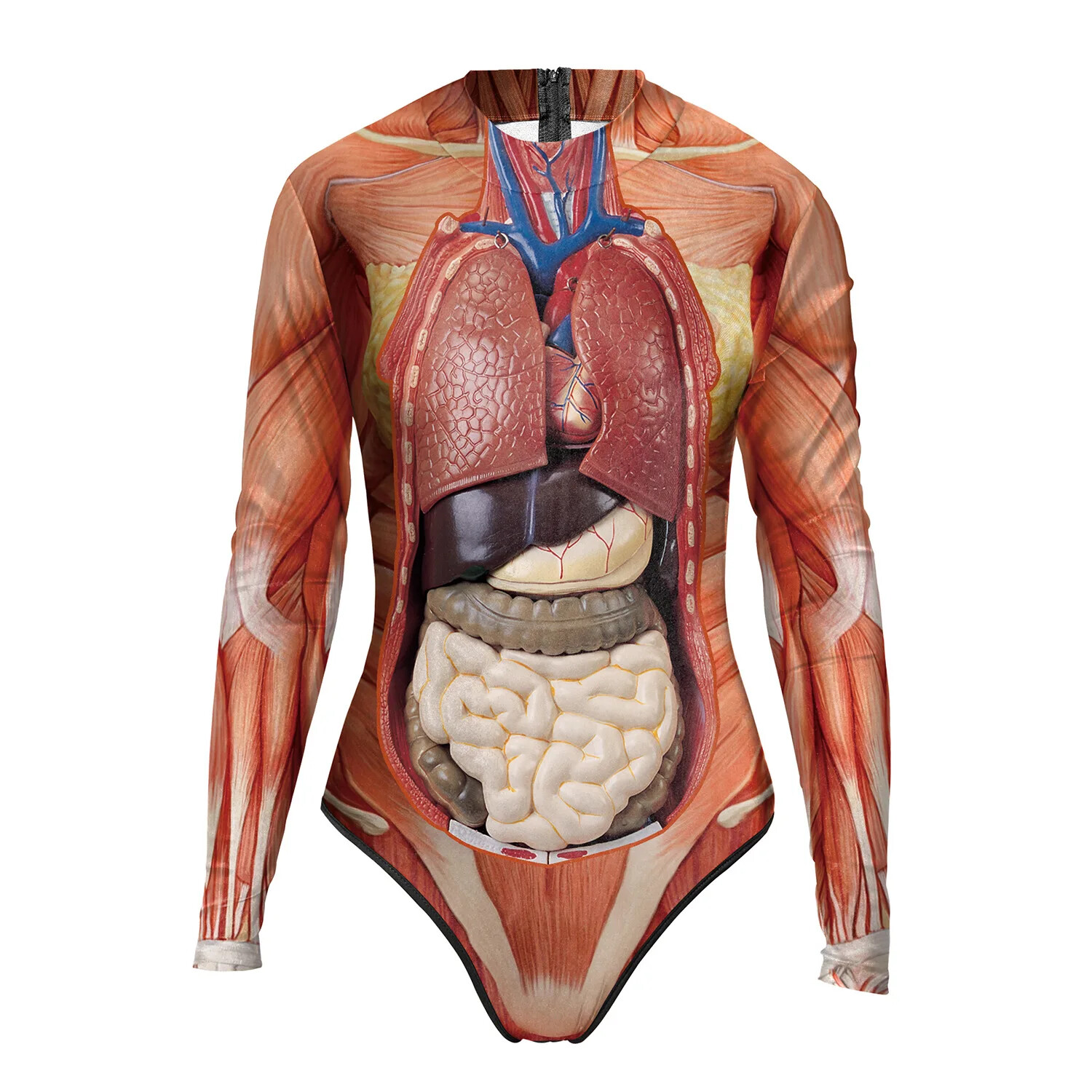 Medical Science Anatomy Woman Human Body Structure Tissue 3D Printing Model