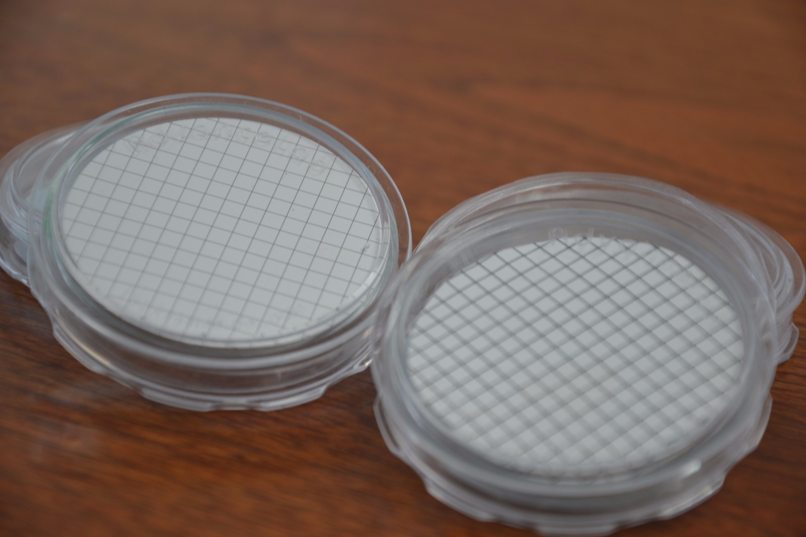 [Set of 20] Petri Dish 50x9mm Disposable Clear Bacterial Plate w/ Tight Light