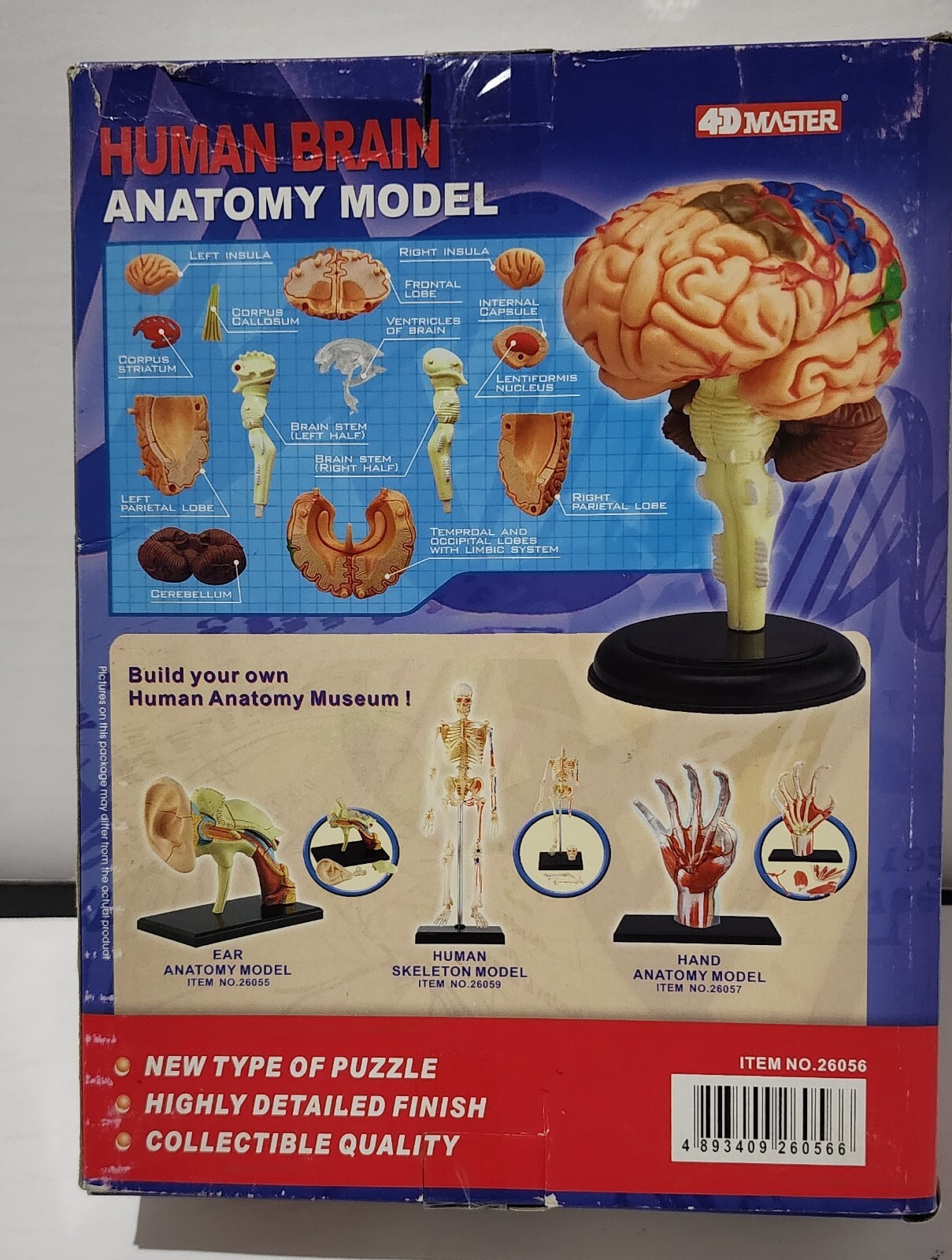 4D Master 2005 NEW Human Brain Anatomy Puzzle 26056 FREE SHIPPING