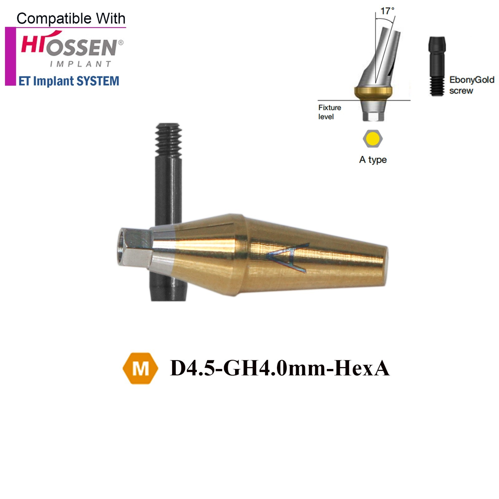 US Dental 17° Angled Anatomic Abutment Mini /Regular Fits Hiossen Osstem TS
