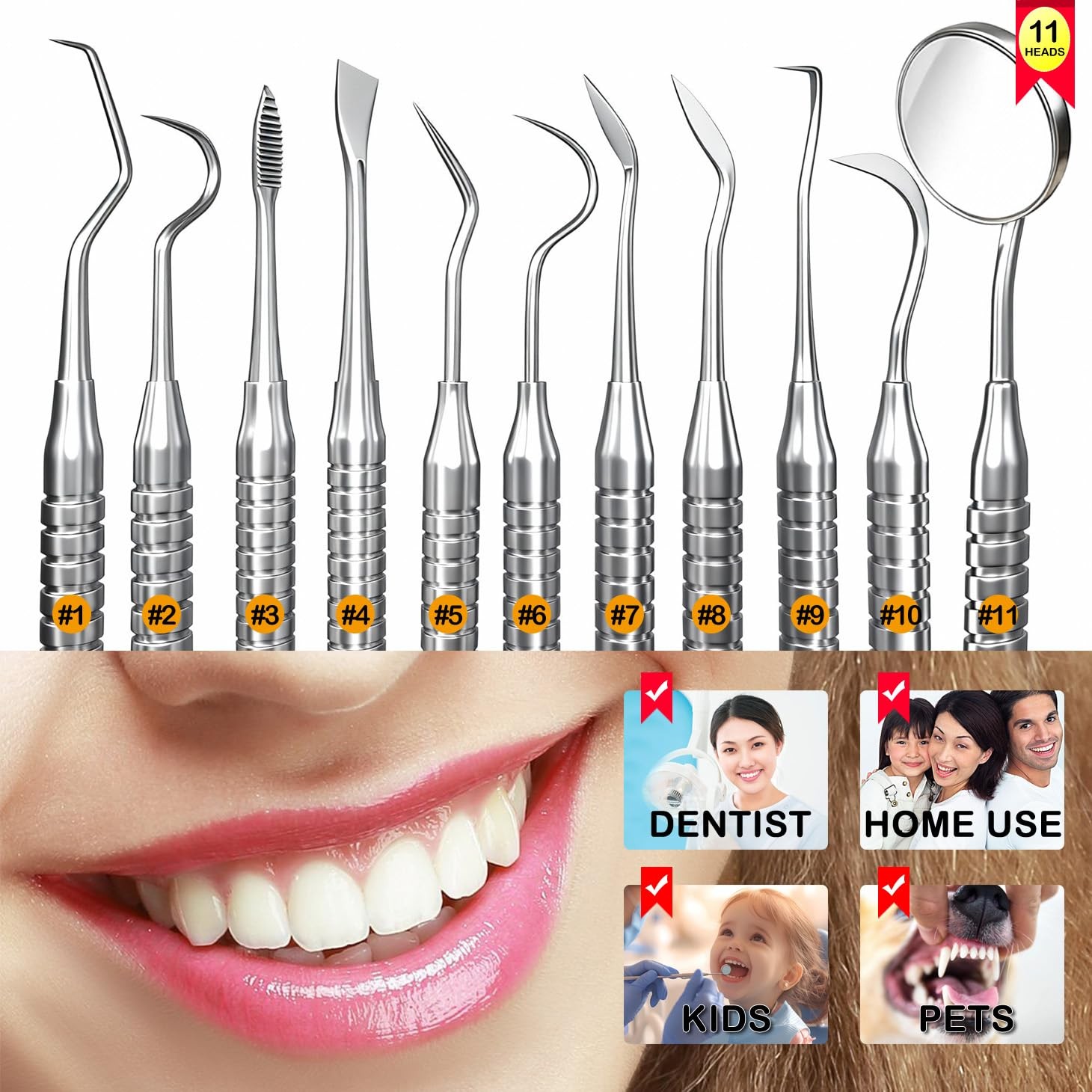 CATACC PRO Dental Tools, 1 Count (Pack of 6), Tools With Case – Black