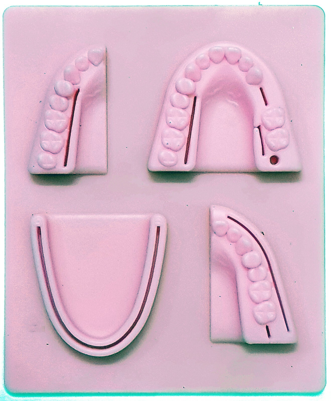 Premium Dental Silicon Suture Training Pad W/ Tray Suture Pad Regular Wounds Set