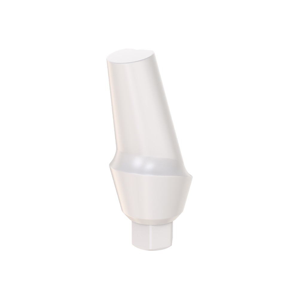 1pcs DSl Angulated Abutment Anatomic Peek With Screw 15° Internal Hex