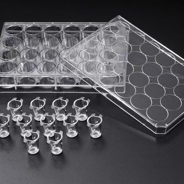 3D Cell Culture Plate Insert™ Hanging, PC, 3μm/8μm, Sterile, 6 Pcs/PK, 24 Pcs/CS