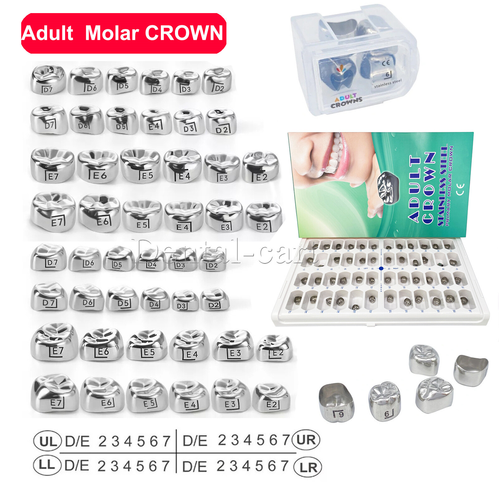 DENTAL STAINLESS STEEL Adult Permanent Molar CROWN All Size 5/Pk Compare to 3M