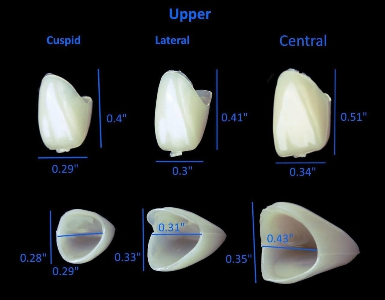 Mixed Sizes Dental Temporary Crown Kit Anteriors Box/50
