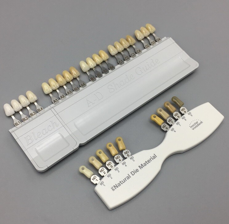 Ivoclar Vivadent Dental Teeth Bleaching Shade Guide ND 9 A-D 20 IPS Natural Die