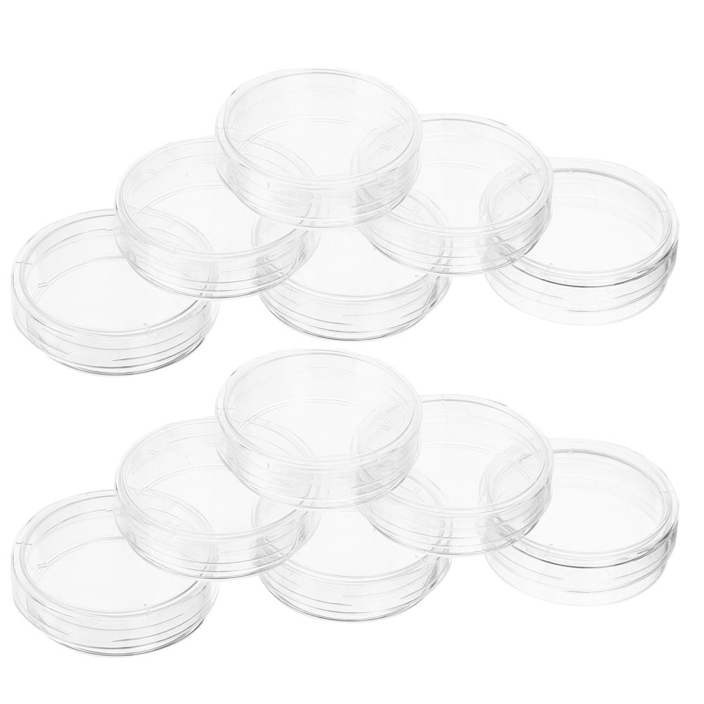 Set of 2 150mm Petiri Dish Science Petri Dishes Tissue Culture Experiment
