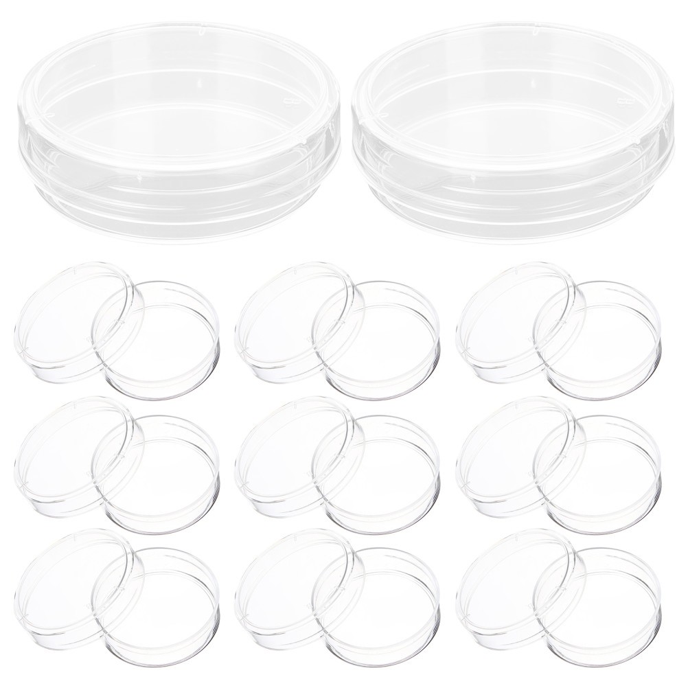 Set of 3 Greenhouse Petri Dish Avocado Growing Dishes Plate Science