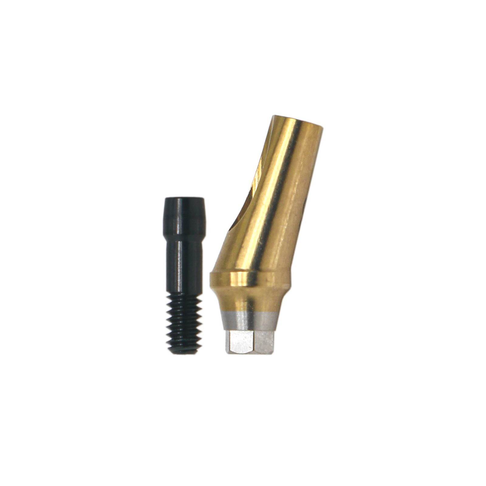 Angulated Anatomic abutment 30°Mini/Regular B Type for Hiossen Osstem TS Implant