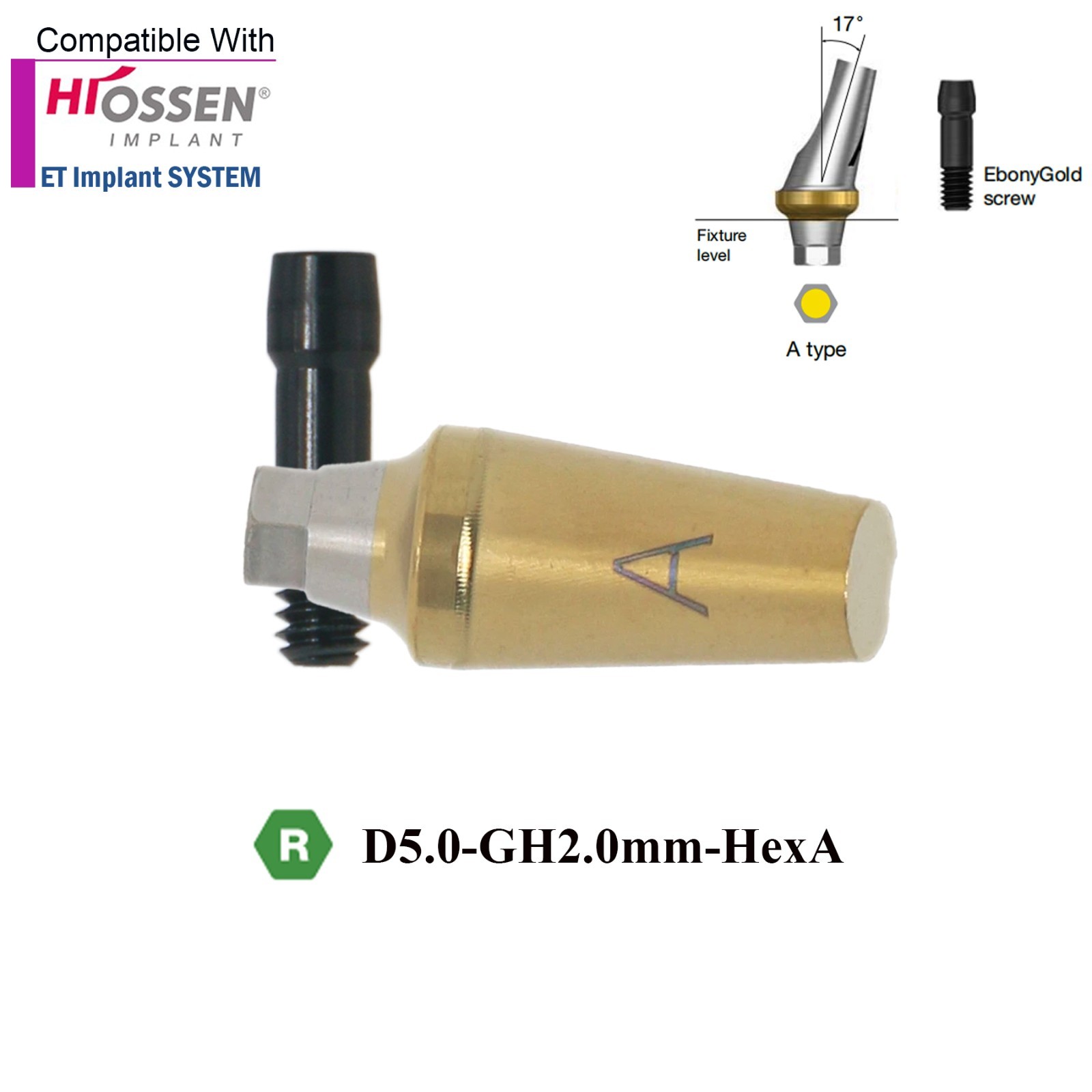US Dental 17° Angled Anatomic Abutment Mini /Regular Fits Hiossen Osstem TS