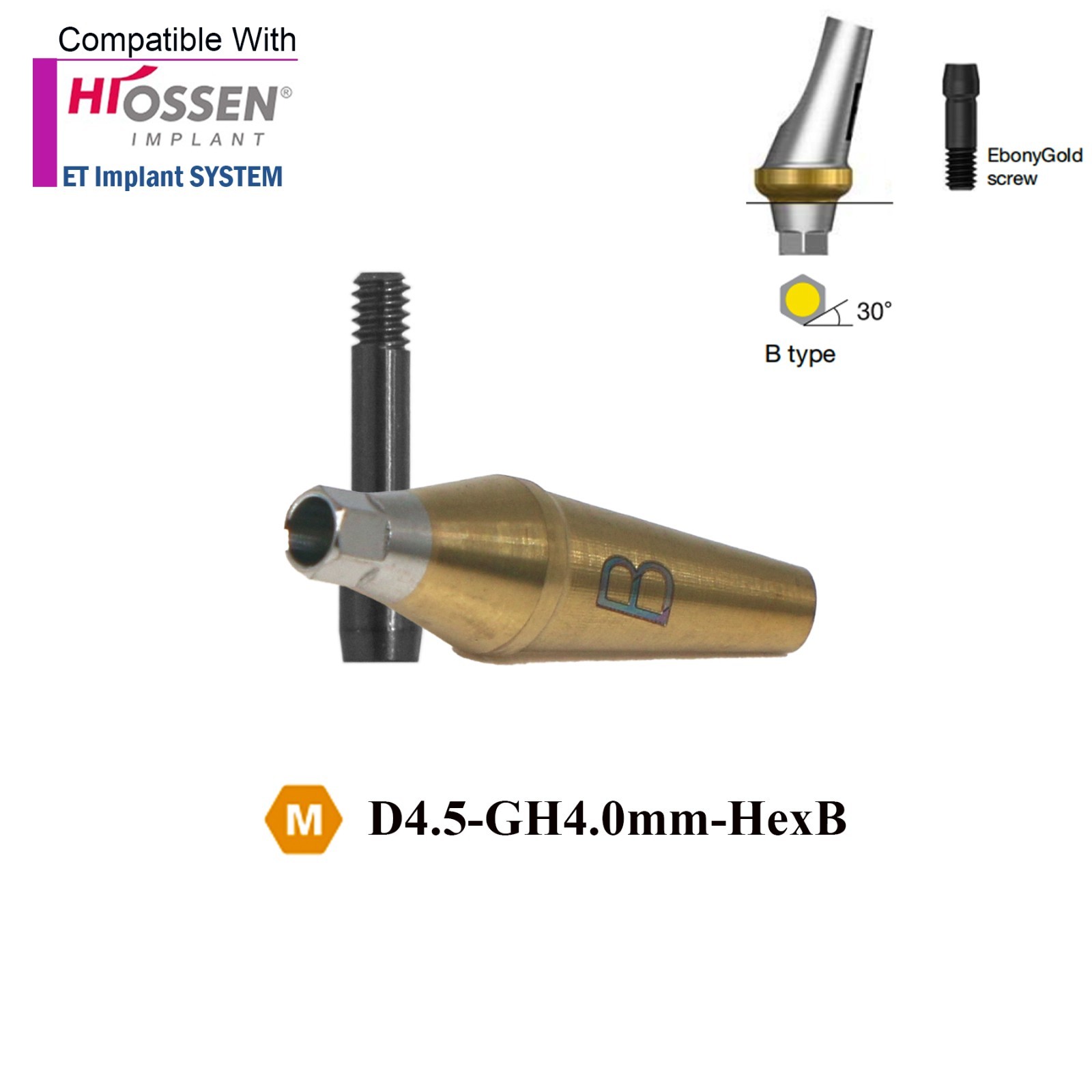 Angulated Anatomic abutment 30°Mini/Regular B Type for Hiossen Osstem TS Implant