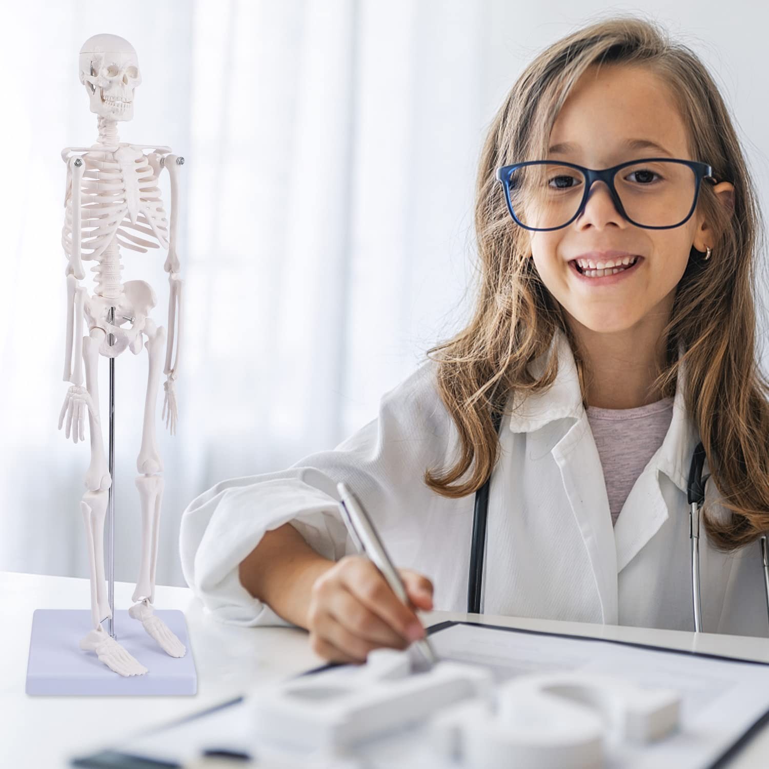 17″ Mini Human Skeleton Model – Anatomical Study Tool with Movable Arms & Legs,