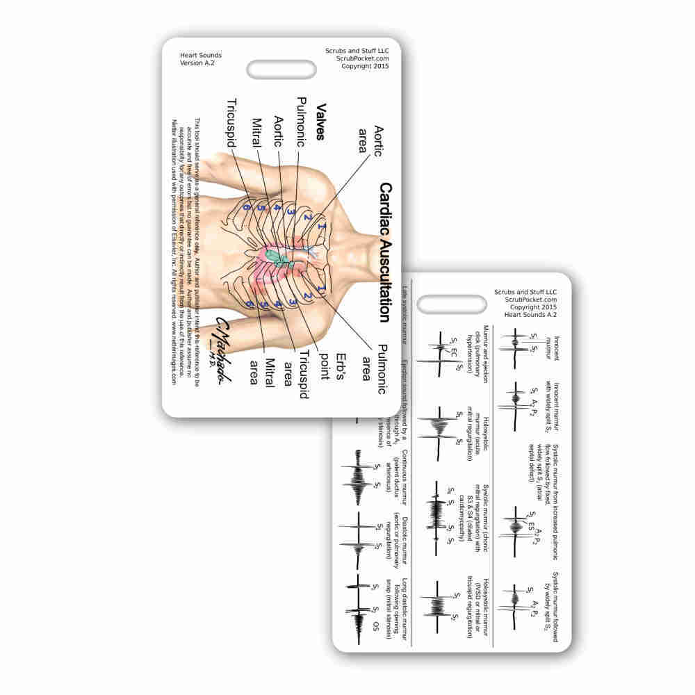 Heart Sounds & Murmur Vert Badge Reference ID Pocket Card Nurse RN MD PA APRN