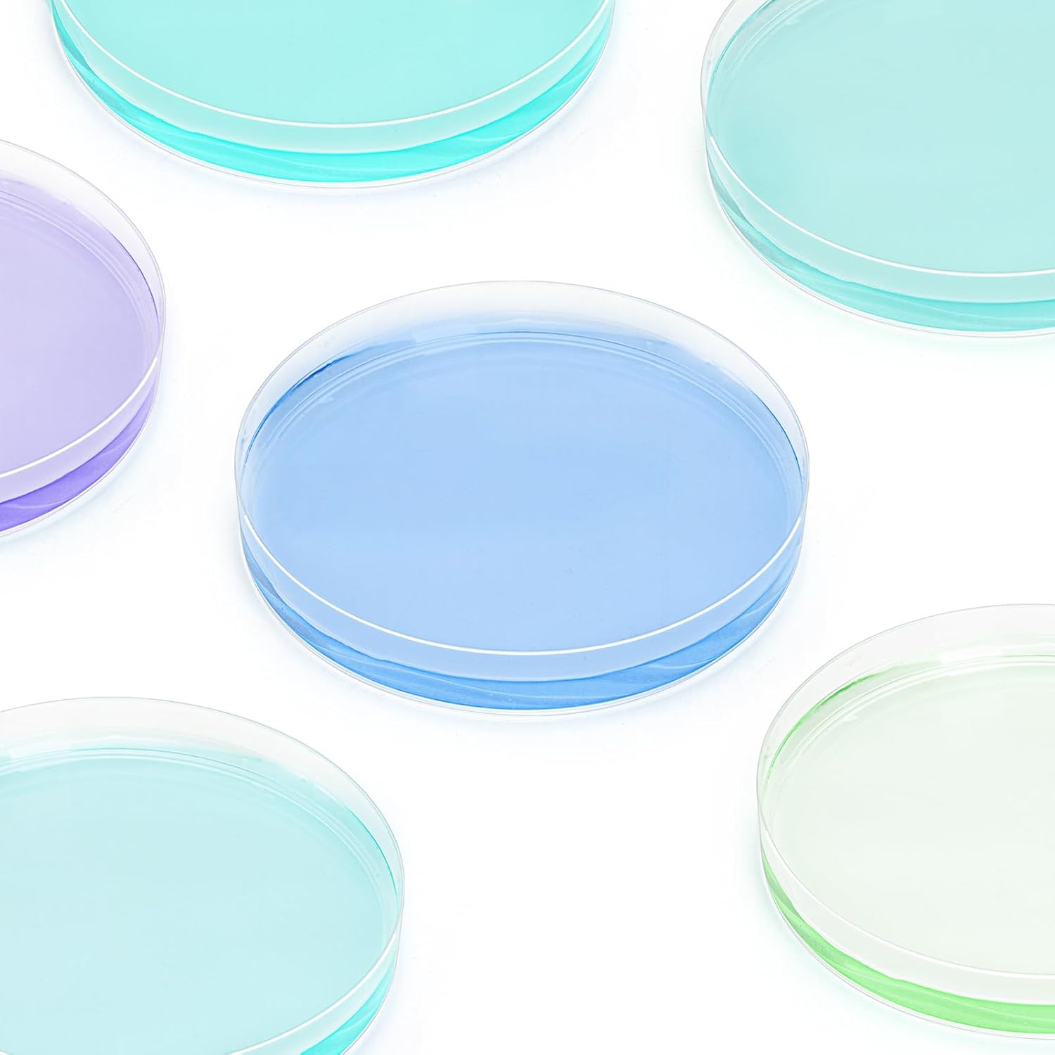 Petri Dishes with Lids, 50 Pack 90mm Dia x 15mm Deep Plastic Sterile Container,