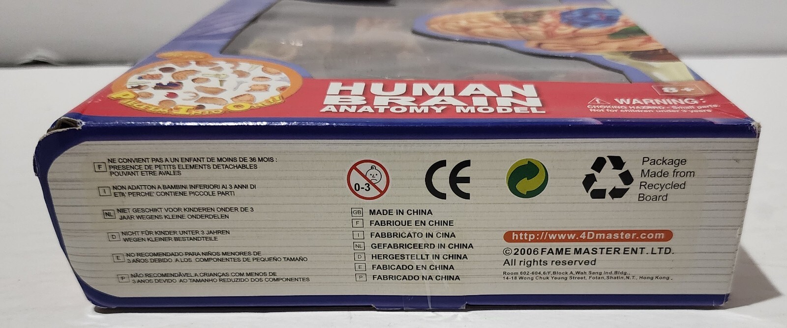 4D Master 2005 NEW Human Brain Anatomy Puzzle 26056 FREE SHIPPING