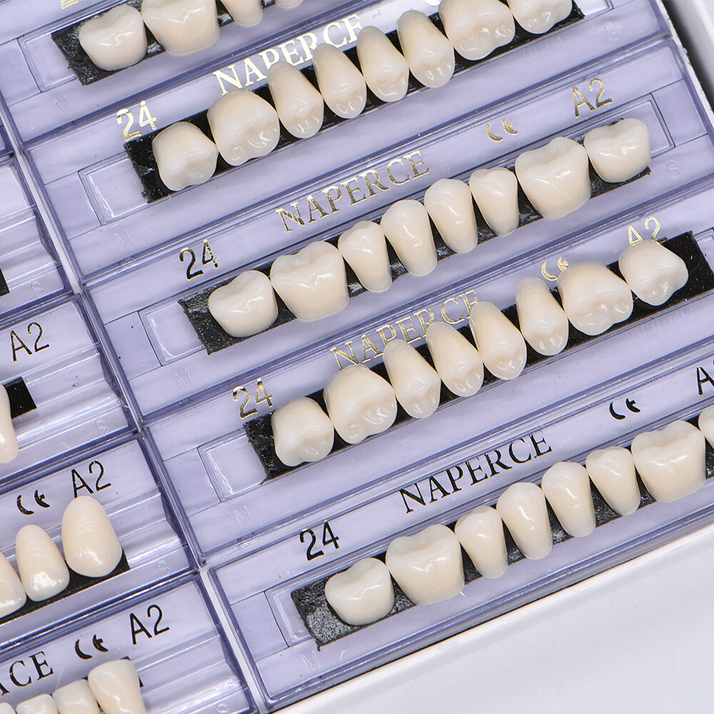 168pcs/Box Dental Acrylic Resin Denture Shade A2 A3 Teeth Upper Lower #22/23/24
