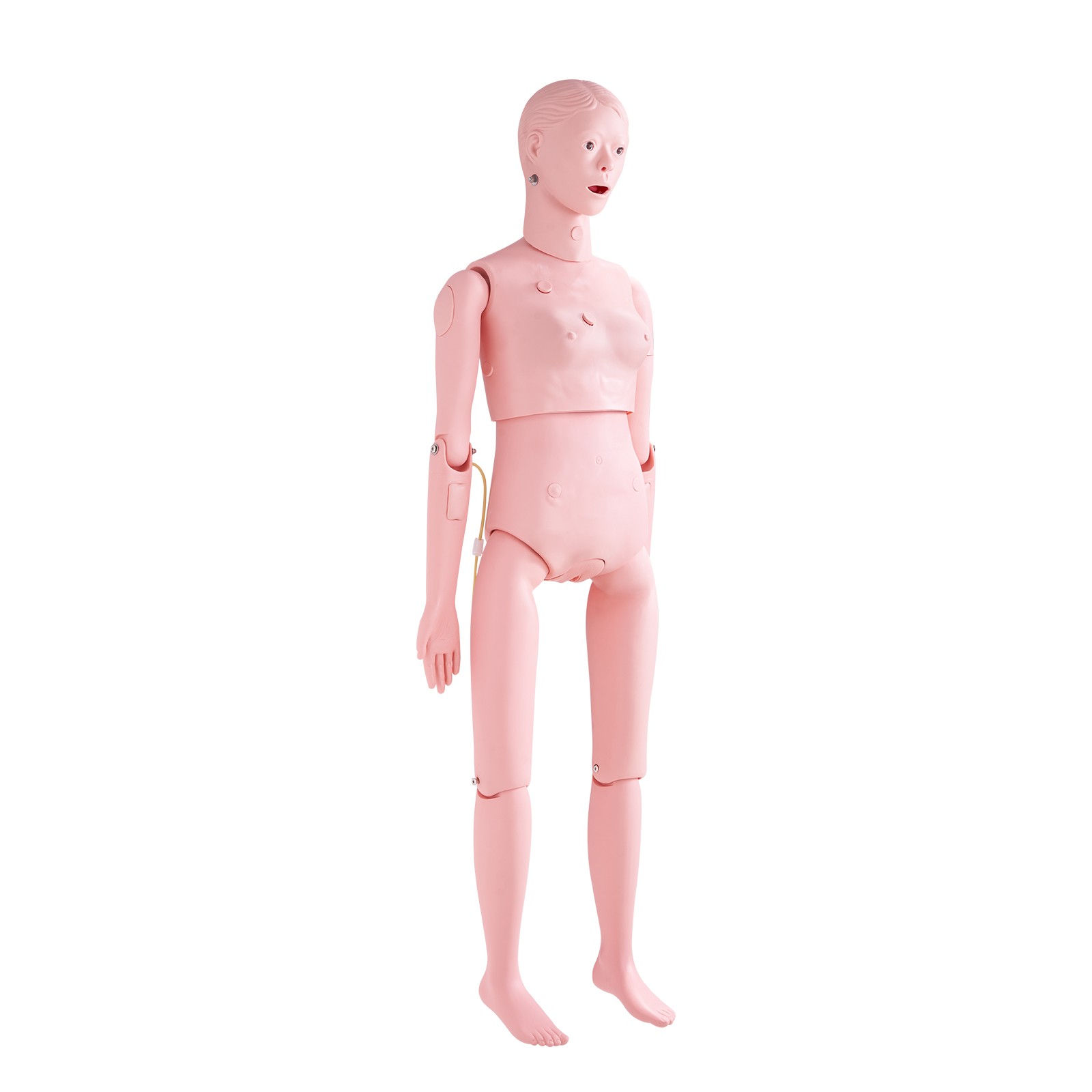 VEVOR Female Manikin Model Anatomical Nursing Training Patient Care Practice