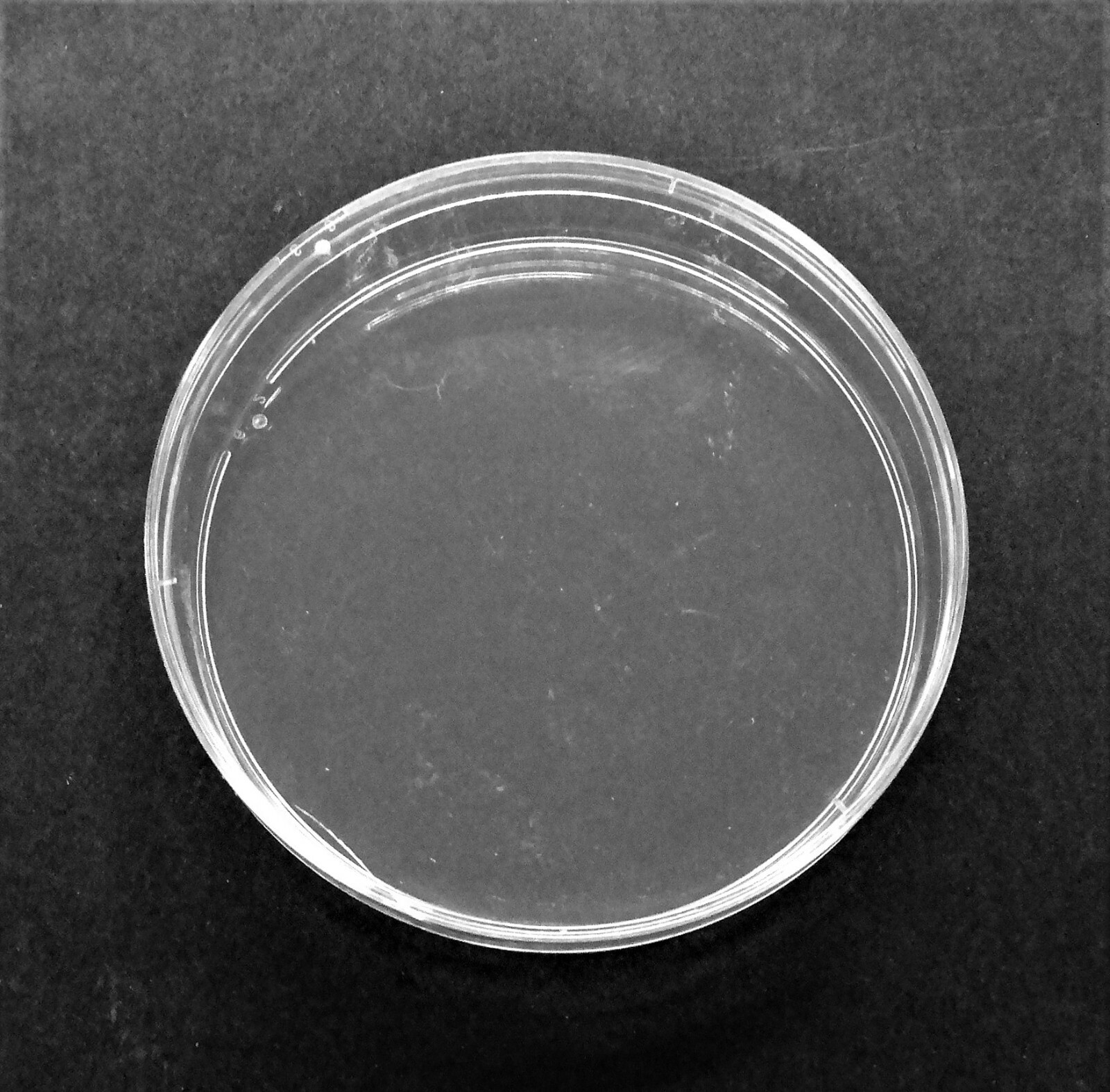 DISPOSABLE CORNING SB93-101 PETRI DISHES, (33 PACK) STOCKED IN USA 90mm, 3 VENT
