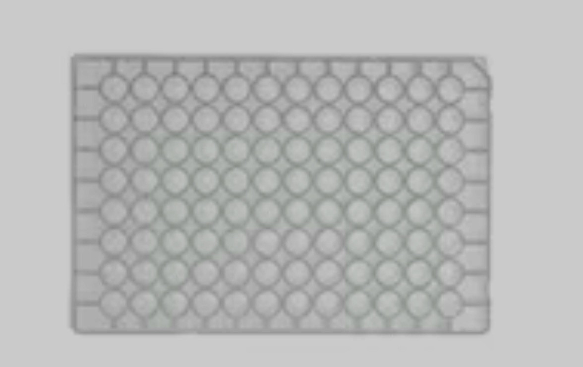 Thermo Scientific AB-0859 0.8 ml, 96 Well Storage Plates (Case of 50)