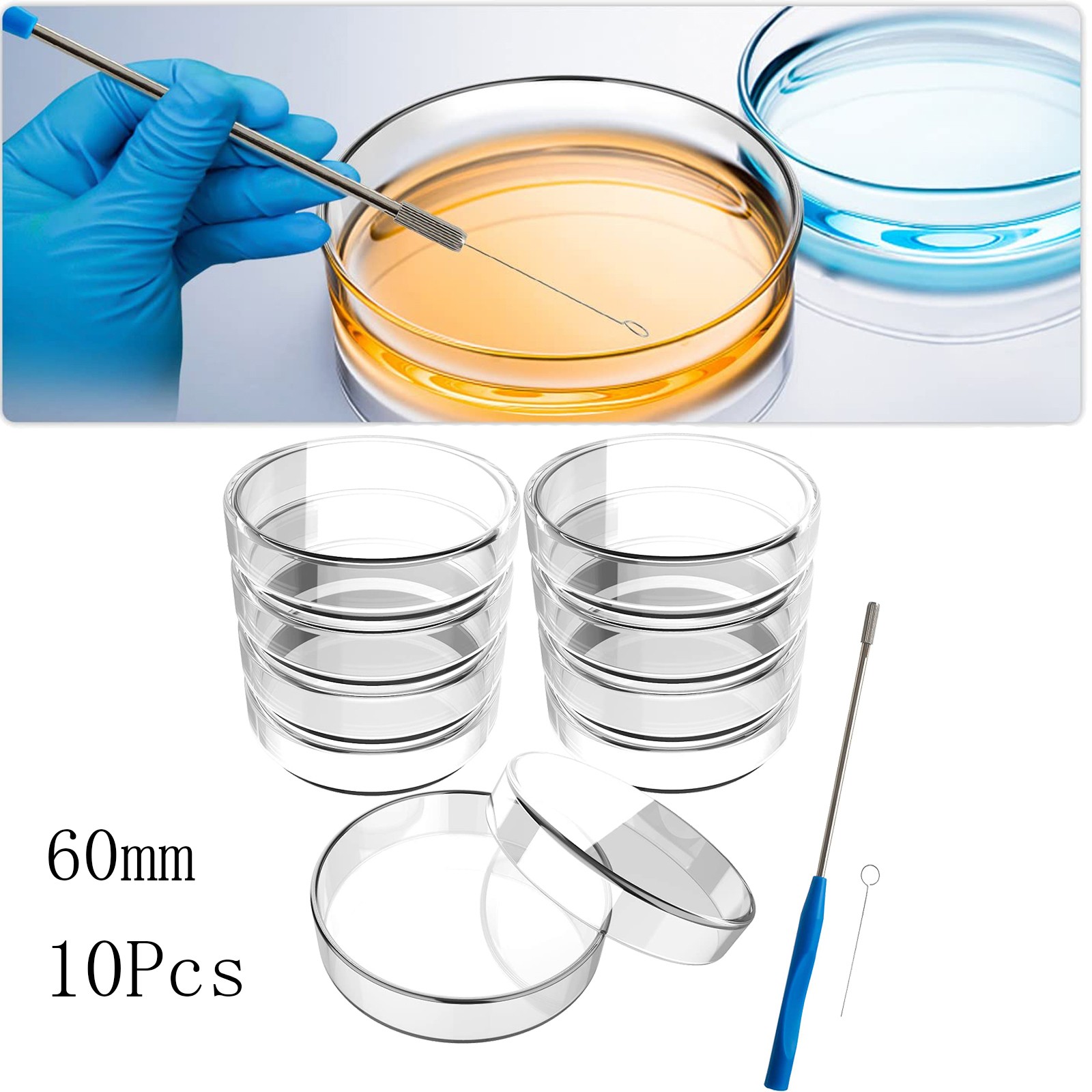 60mm Glass Petri Dish Lab Petri Plates Dishes Reusable w/ Lids Autoclavable US
