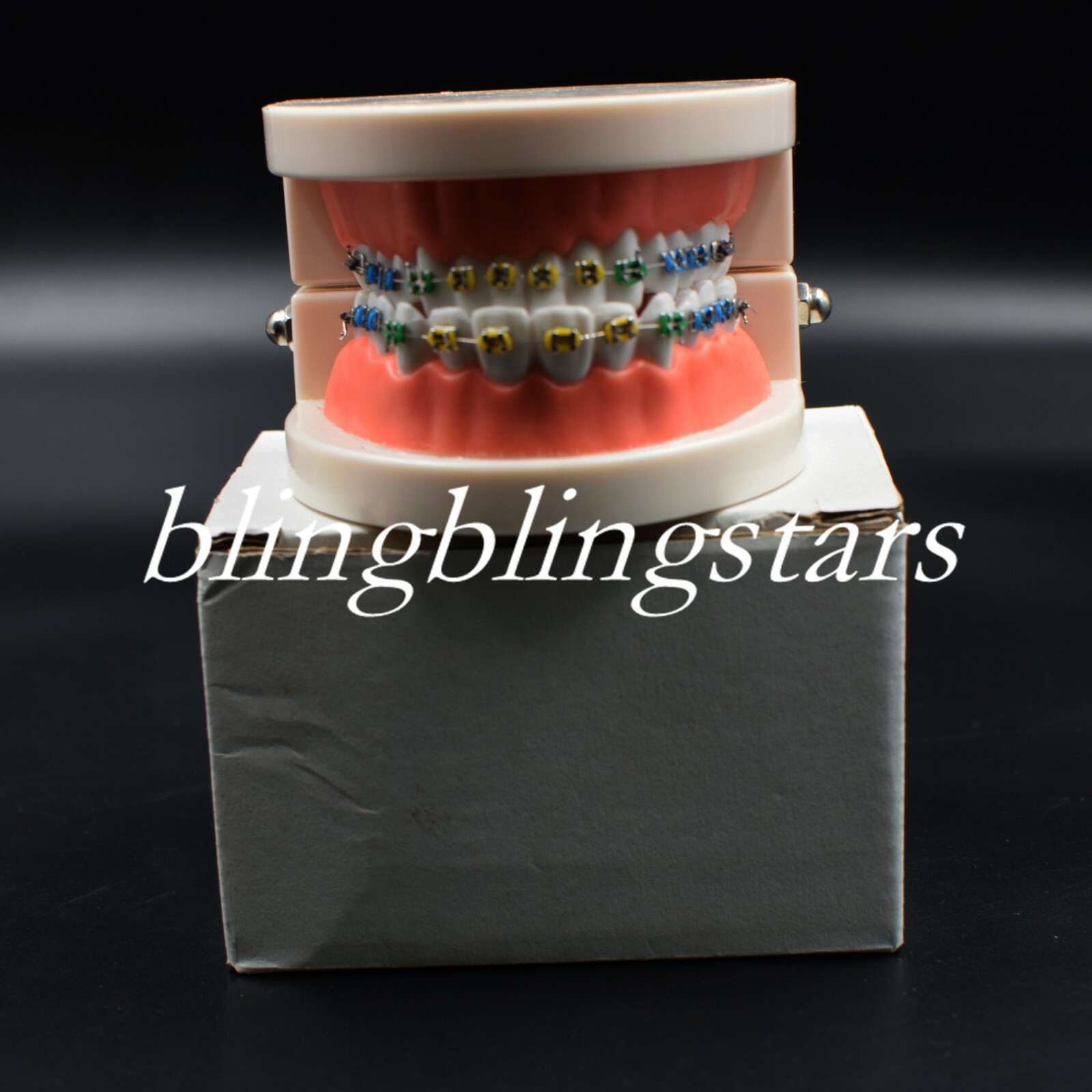 Dental Orthodontics Standard Tooth Model Bracket Ligature Buccal Tube Ties