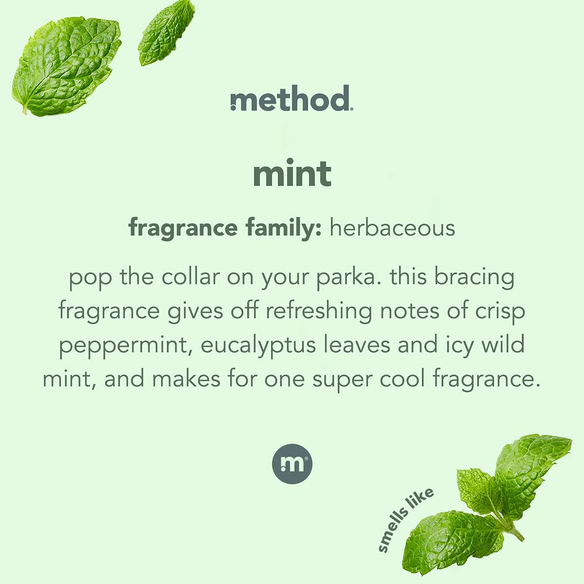 Method Glass Cleaner, Mint, 28 Ounce, 4 Pack, 28 Fl Oz (Pack of 4), Clear