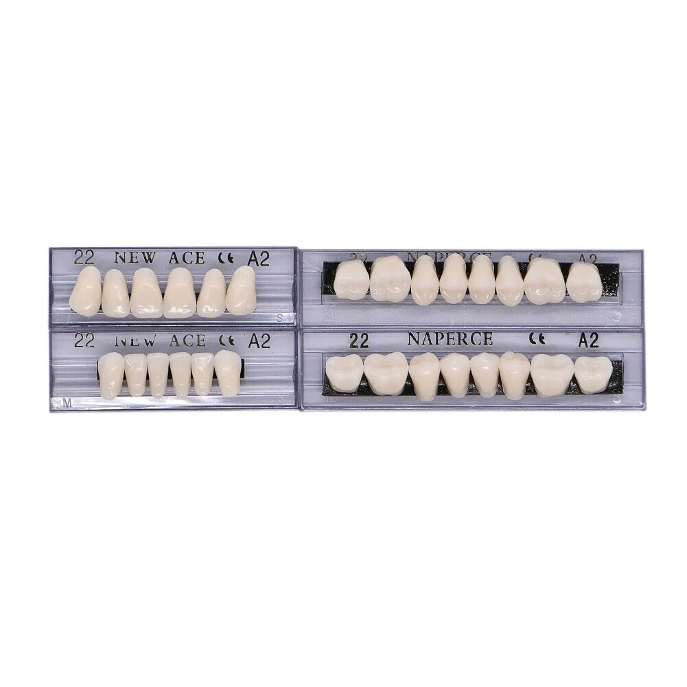 168X Acrylic Resin A1/A2/A3 Dental Denture Teeth Upper Lower Shade 22/23/24# HOT