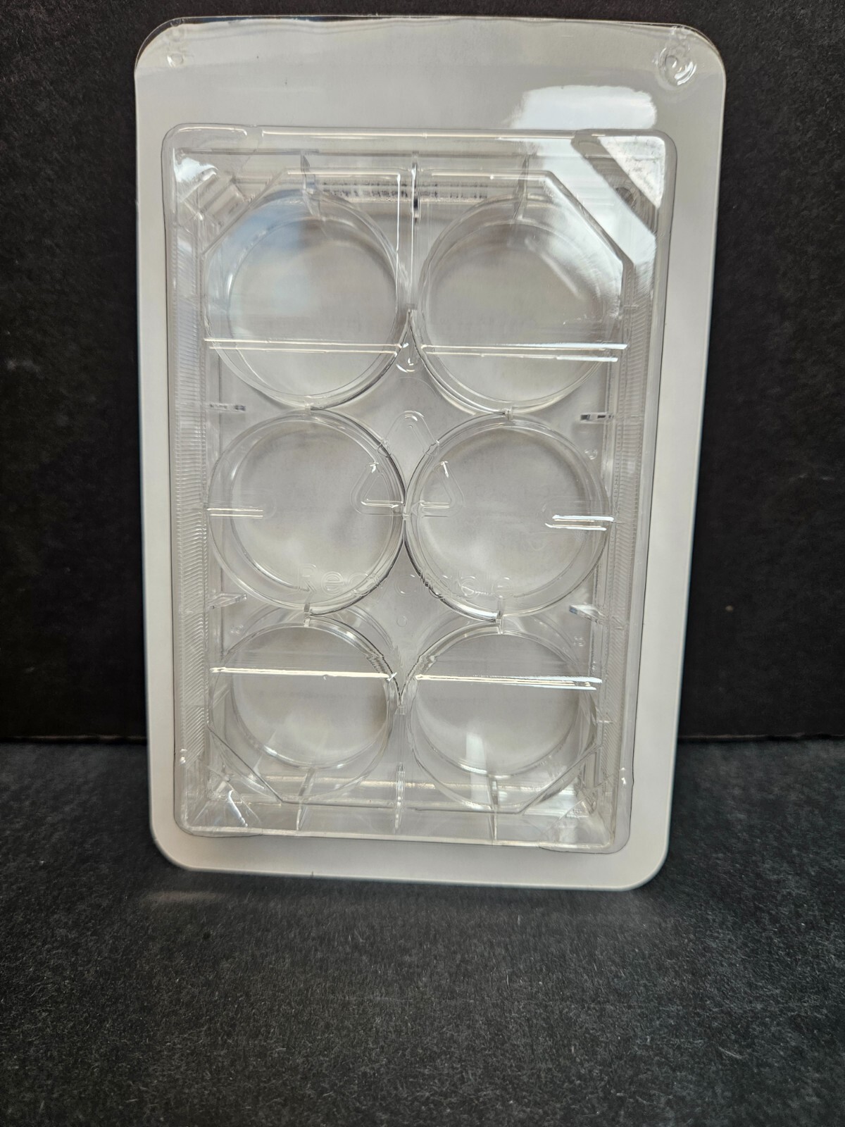 Fisherbrand Microplate 6 Well Flat Bottom 100 Plates