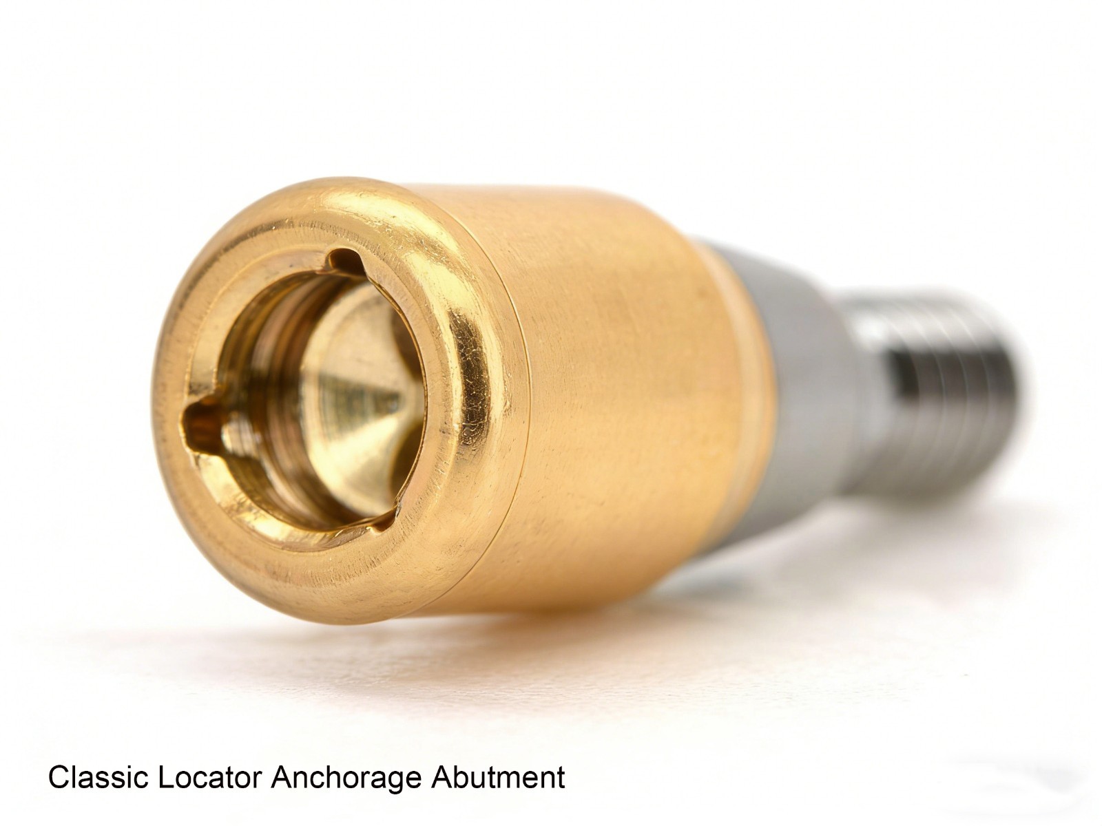 Dental Classic Locator Abutment Internal Hex ZEST Legacy Anchor For Hiossen ET