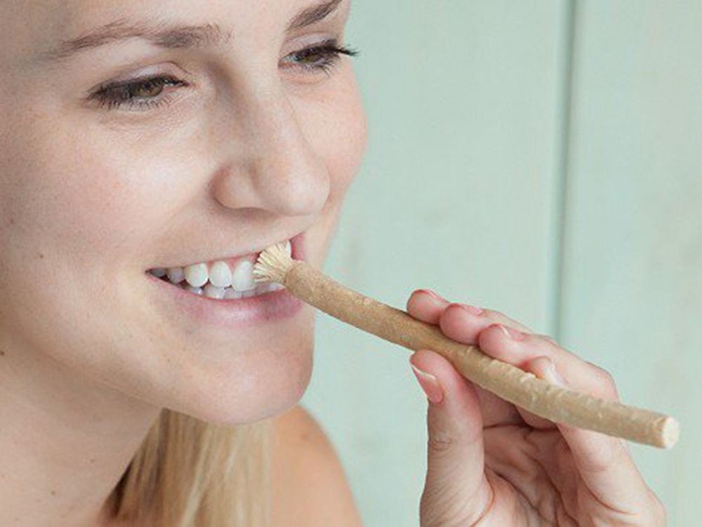 Miswak Club Natural Teeth Whitening Kit/Natural 1 Count (Pack of 1)