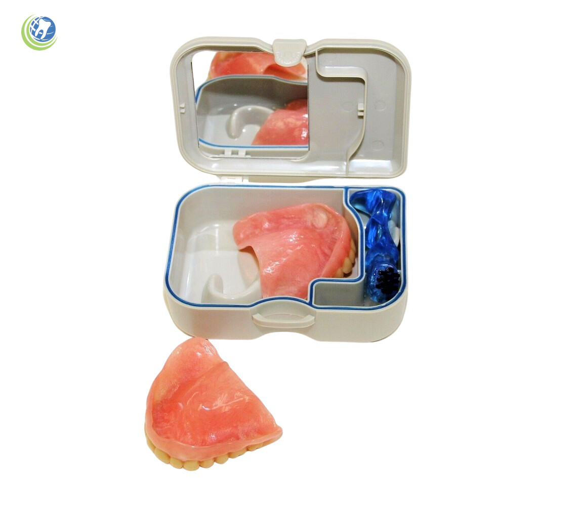 Denture Retainer Mouth-guard Storage Case with Mirror & Cleaning Brush – 1 PC