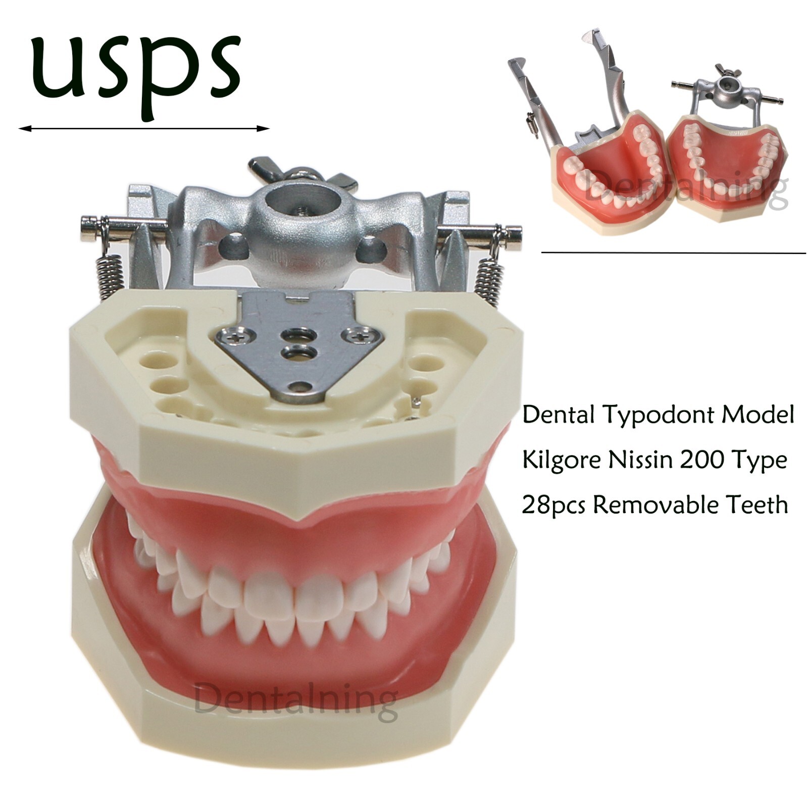 US Overdenture All-On-4/6 Implant /Ortho/Columbia 860/Kilgore NISSIN Teeth Model