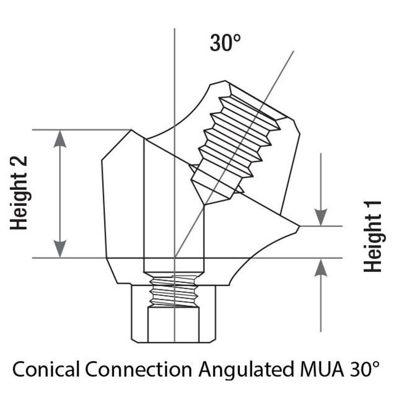 5x Prosthetic Angulated 30° Multi-Unit 1.6 NP Conical Connection 2.25 Titanium