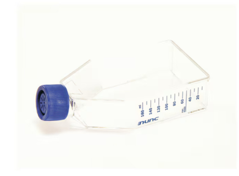 100- Thermo Scientific 156499 Nunc EasYFlask 75 cm2 Nuncio Delta Surface 20 PKS