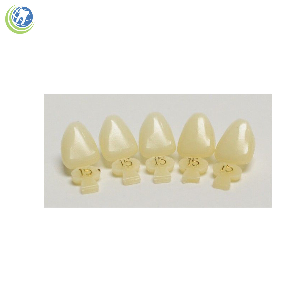 Tooth #9 Upper Left Central Anterior (ULC) Polycarbonate Temporary Crown Refills