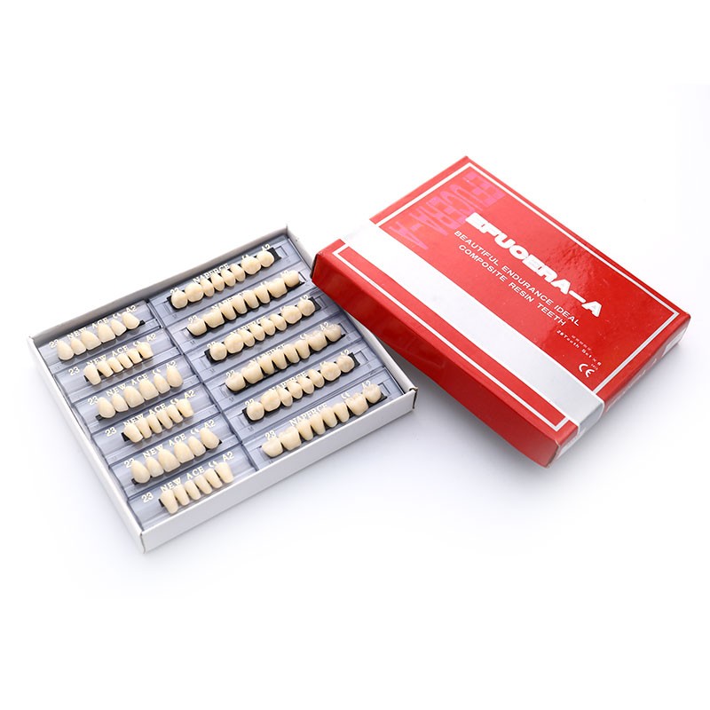 168PCS/6Sets Dental Synthetic Polymer Teeth Resin Denture Dental Teeth Dent-dx