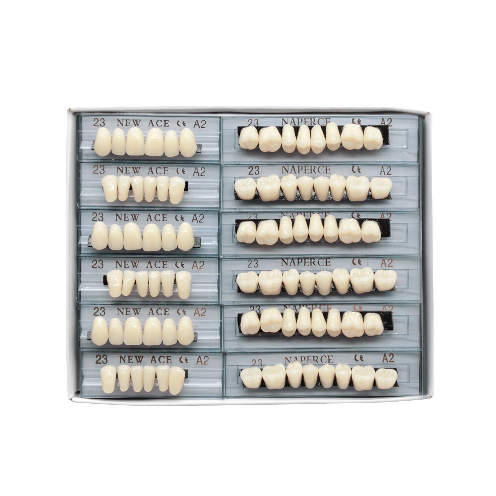 168Pcs/Box Acrylic Resin Denture #23 Dental Upper Lower Shade A2 Teeth Set US