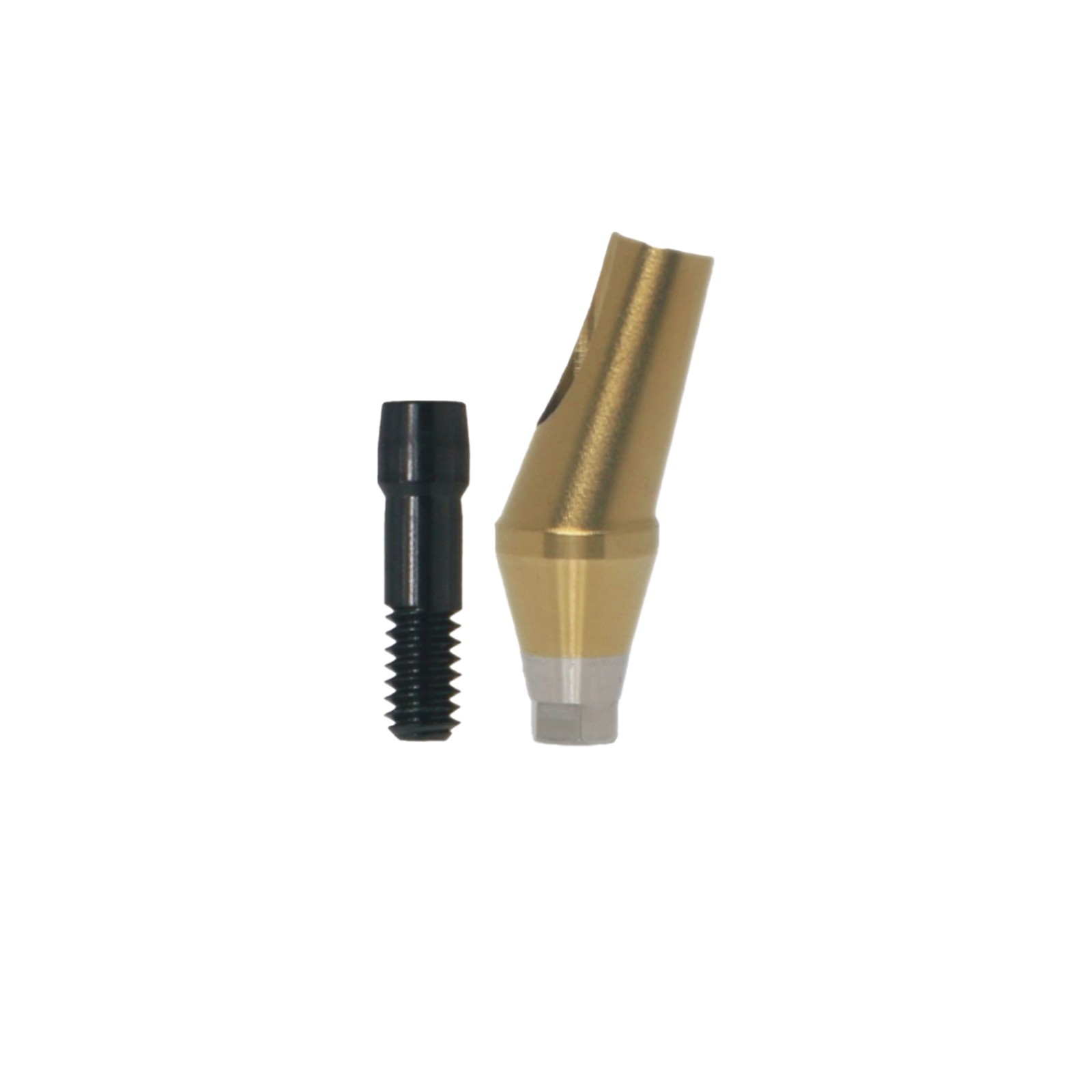 Angulated Anatomic abutment 30°Mini/Regular B Type for Hiossen Osstem TS Implant