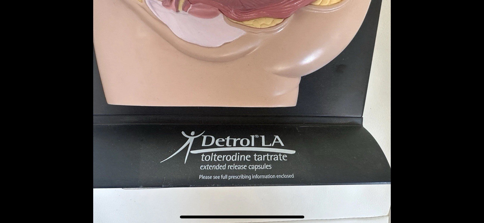 Male and Female Pelvis 2-sided 3D Anatomical Model with Info Cards 8” Tall
