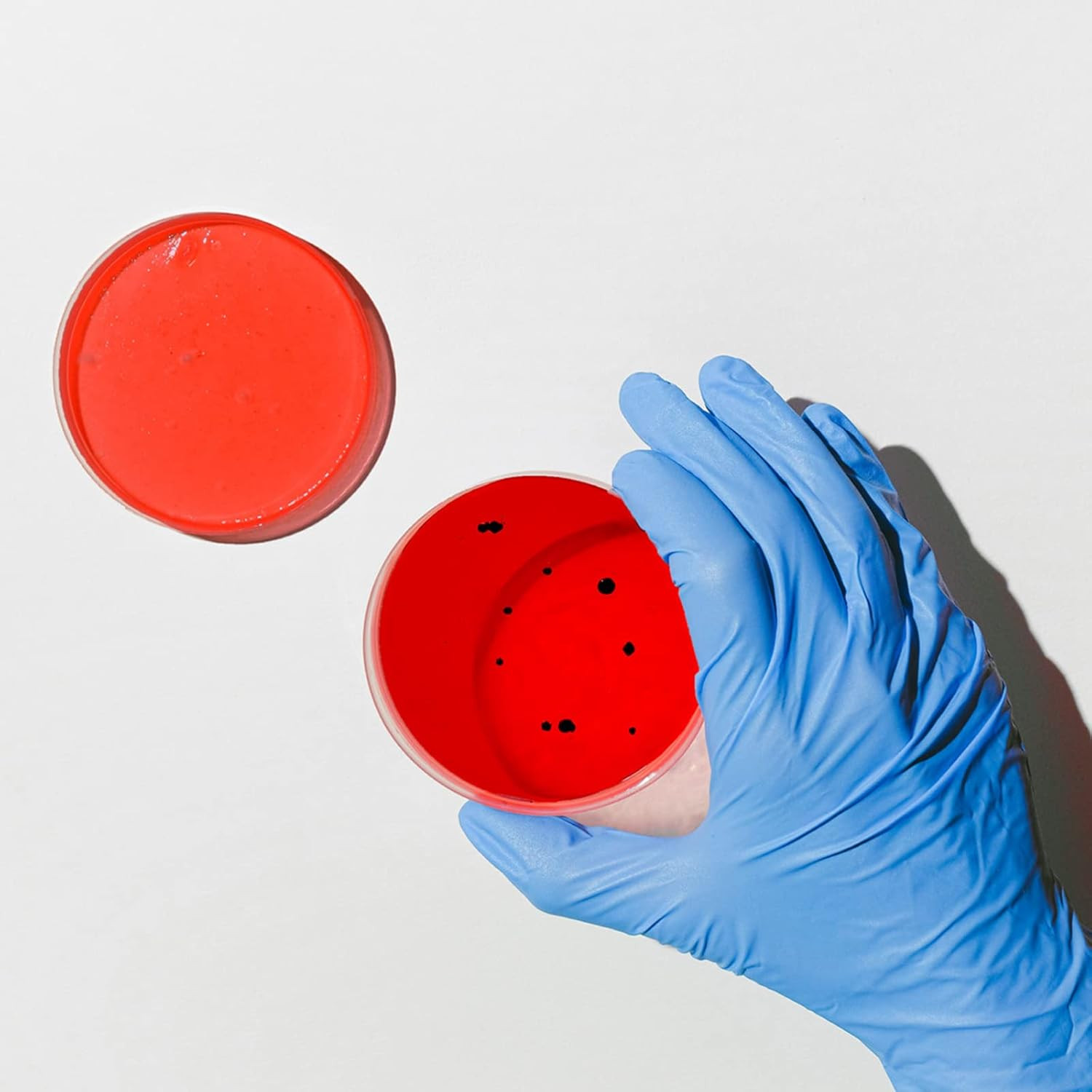 Petri Dishes with Lids, 50 Pack 90mm Dia x 15mm Deep Plastic Sterile Container,