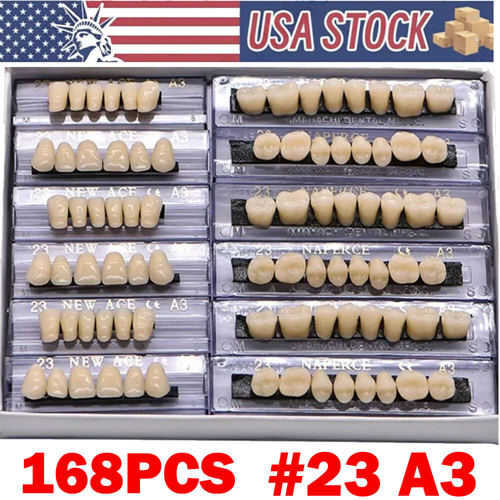 168Pcs Dental Acrylic Resin Denture A3#23 Shade Full Upper Lower False Teeth NEW